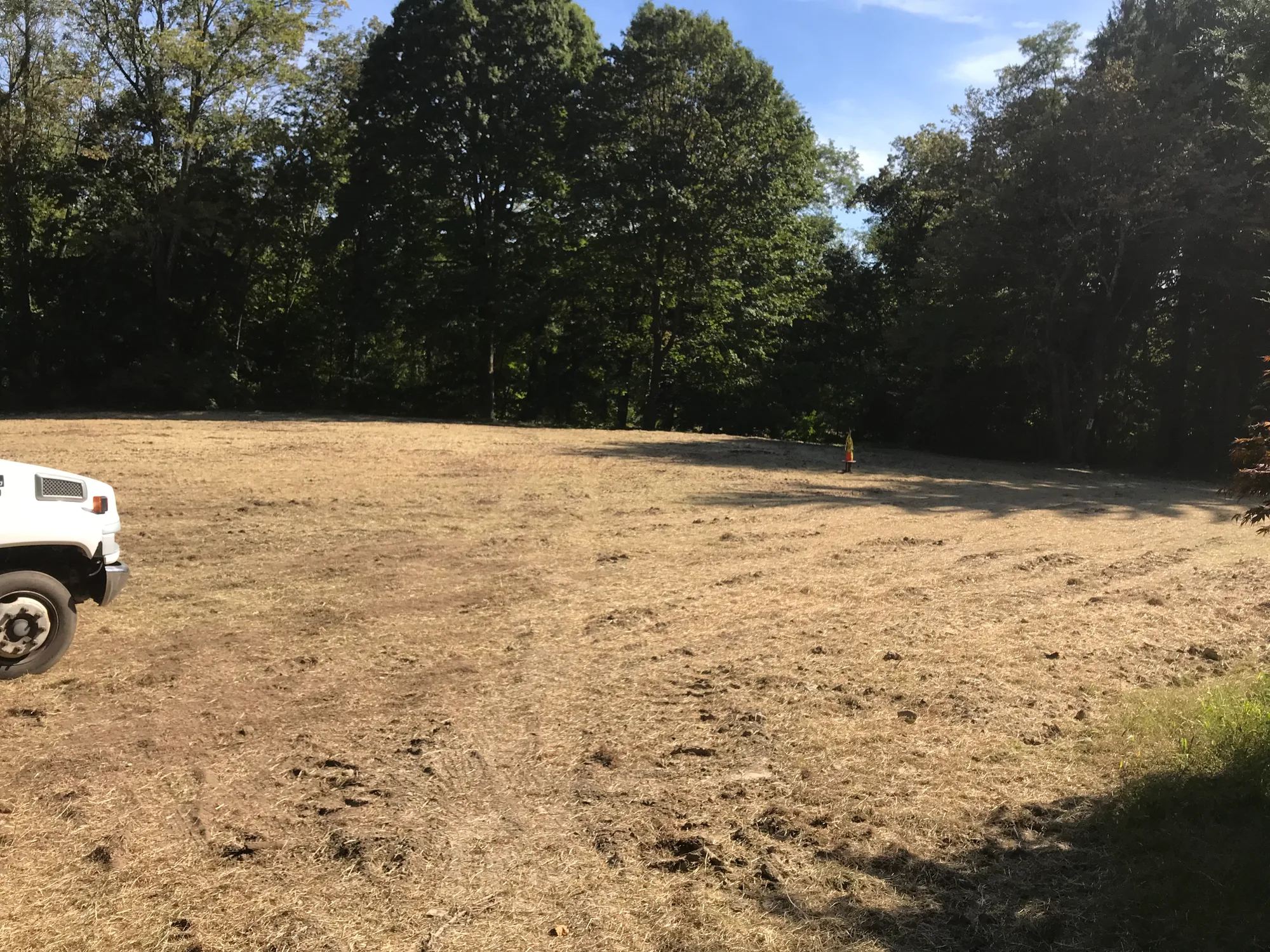 Lot clearing