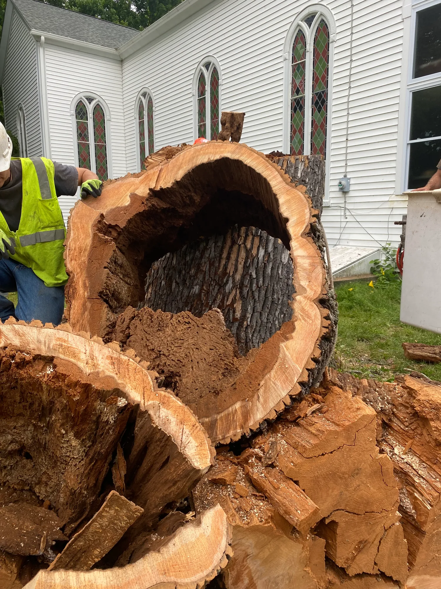 Tree Removal